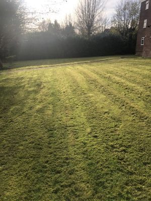 RAMS Ground Maintenance St Albans