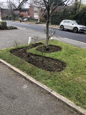 RAMS Ground Maintenance St Albans